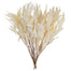 18" Bleached Willow Eucalyptus - 3.5oz Bunch