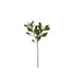 21.5 in Pittosporum Spray x 2 - Green