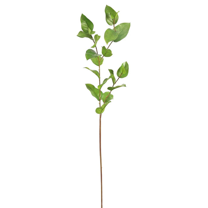 45" Salal Leaf Spray - Green