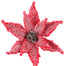 24" Poinsettia Snow Wool Stem - Red/White