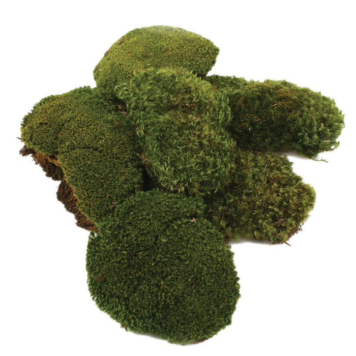 Mood Moss