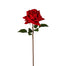22 in Natural Stem Rose - Red