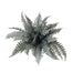 18" Polyester Fall Boston Fern Bush - Frosted/Green