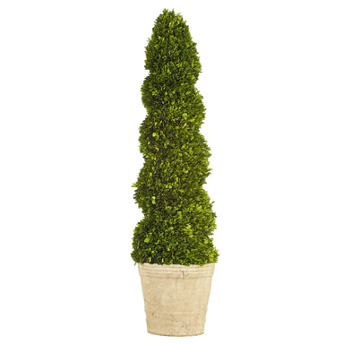 51" Boxwood Spiral Topiary - Green