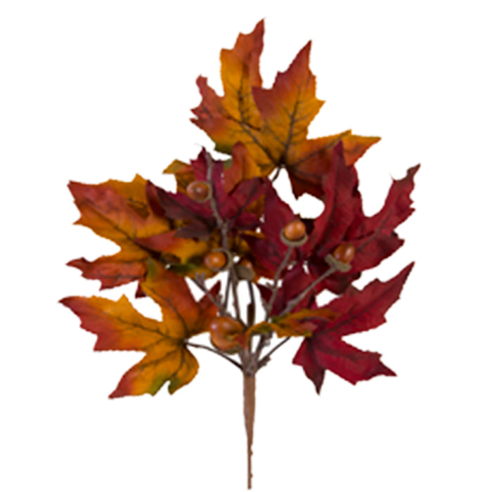 Maple Leaf Spary