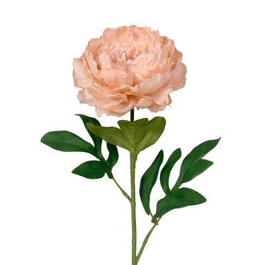 28" Polyester Large Cabbage Peony - Bisque