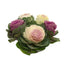 Kale Assorted