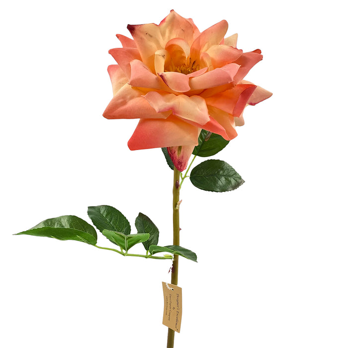 Garden Rose Stem - Pink