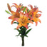 Lily Novelty LA Hybrid Royal Sunset