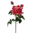 22" Candy Stripe Rose - Peach/Red