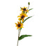 32" Black Eye Susan Stem - Yellow