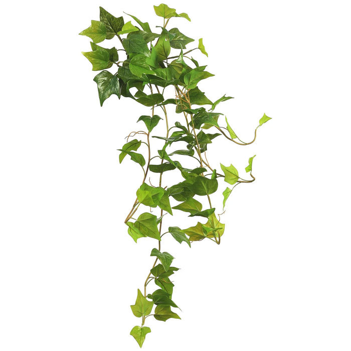 36" Ivy Bush