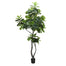 9' Fiddle Leaf Fig Tree - Green
