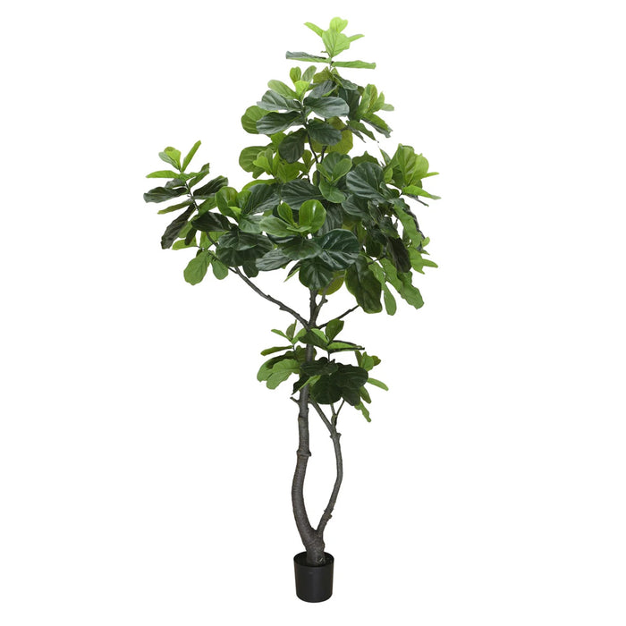9' Fiddle Leaf Fig Tree - Green