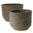 6.75" Belen Basket - Natural