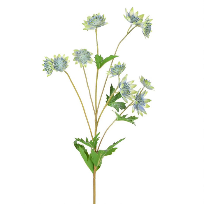 26" Scabiosa Stem - Blue/Green