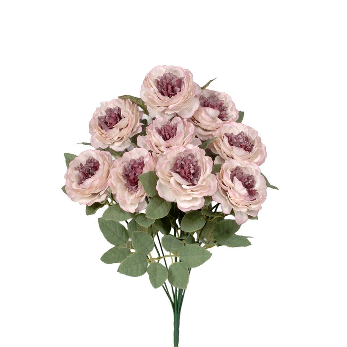 Ranunculus Bush - Mauve/Cream
