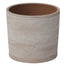 12 in Aleppo Pot - Terracotta