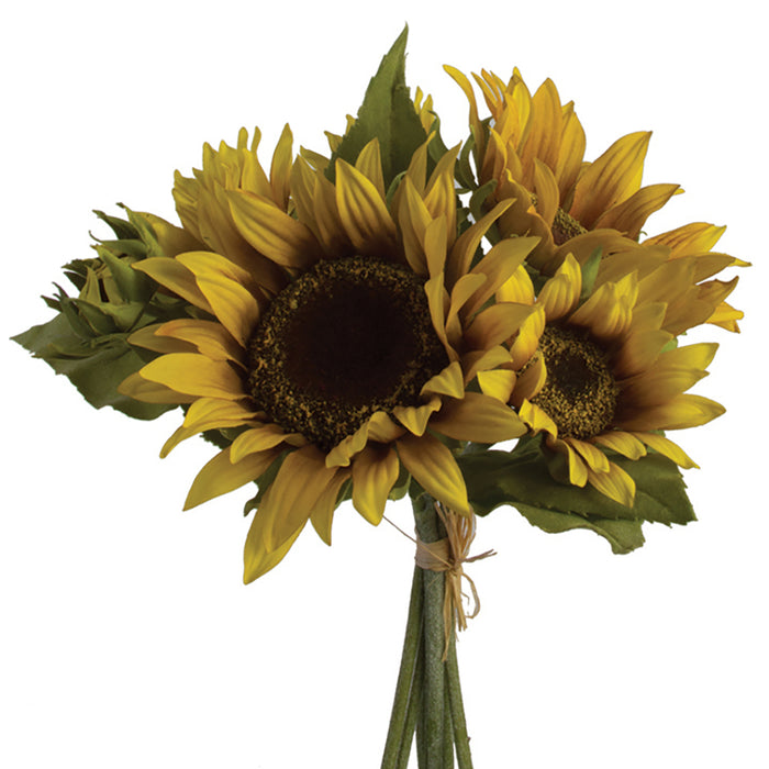 Sunflower Bundle