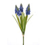 12 in Grape Hyacinth Bundle - Blue