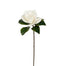 29 in Magnolia - Two-Tone White