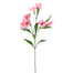28 in Alstromeria Spray - Pink