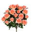 Grandiflora Rose Bush
