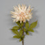 30" Polyester Flame Dahlia - Cream
