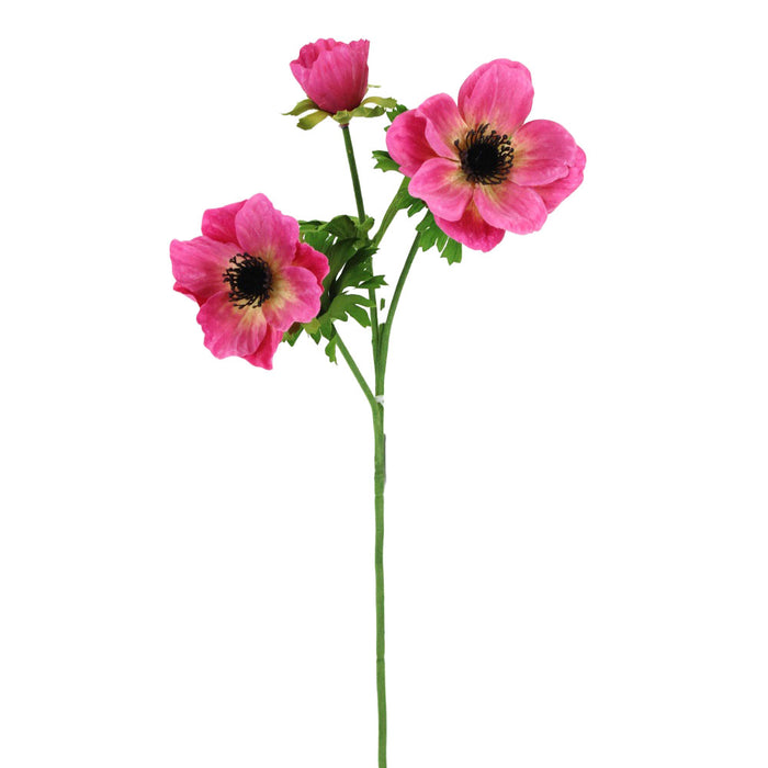 22 in Anemone Spray