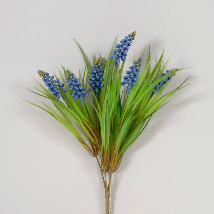 14" Grape Hyacinth Bush - Blue