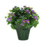 4 In Exacum