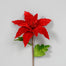 24" Velvet Poinsettia - Red