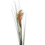 Sea Grass Stem 56 In Green Brown