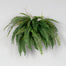 Polyester Boston Fern Bush