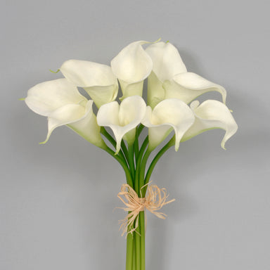 Calla Lily Bundle