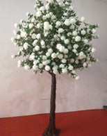 9' Peony Tree - Cream