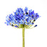 Agapanthus Stem - Blue