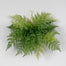 20" Leather Fern Bush - Green