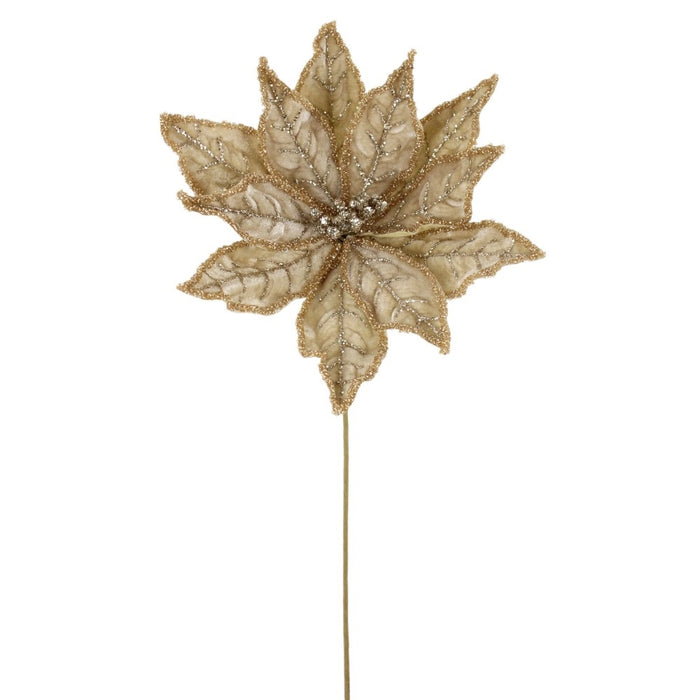 20 in Poinsettia Stem - Champagne