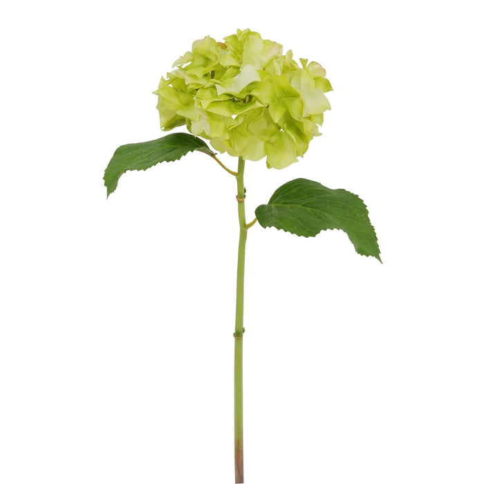 18.5" Natural Touch Hydrangea - Light Green