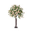 6 1/2' Peony Tree - Champagne