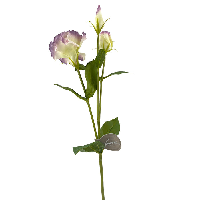 22" Lisianthus - Lavender/White