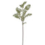 Dusty Miller Spray - Green