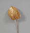 Metallic Anthurium - Gold