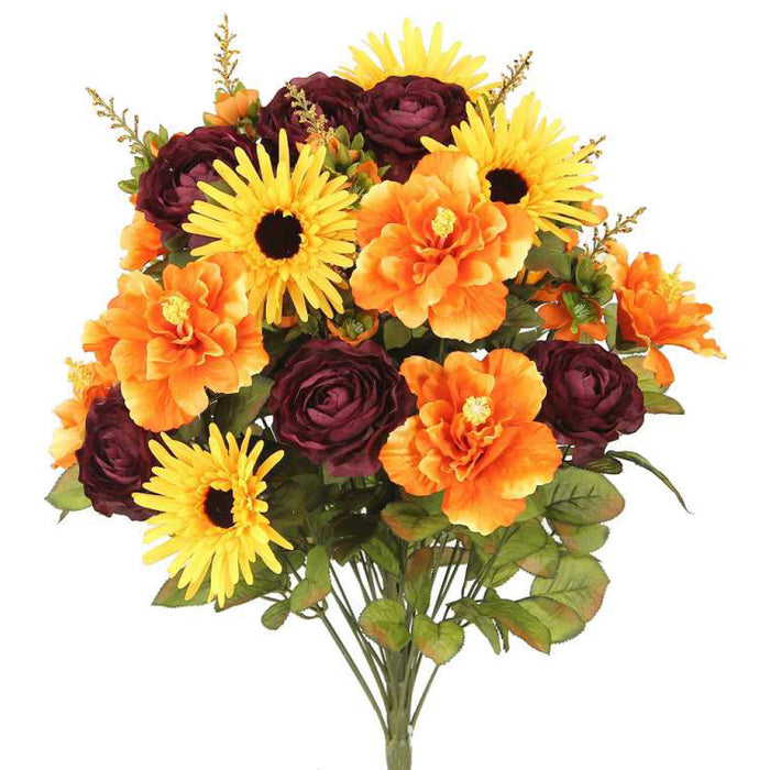 Hibiscus/Rose Mixed Bush