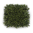 14" Boxwood Mat - Green