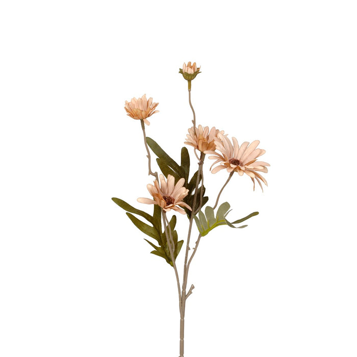 Fall Daisy - Dusty Brown