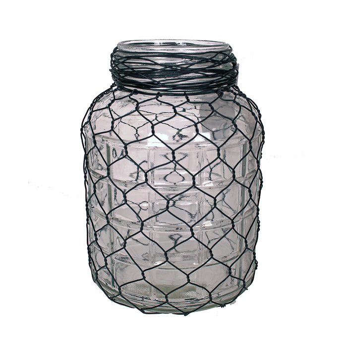 Glass Bottle W Wire 8" x  5" Inches Clear