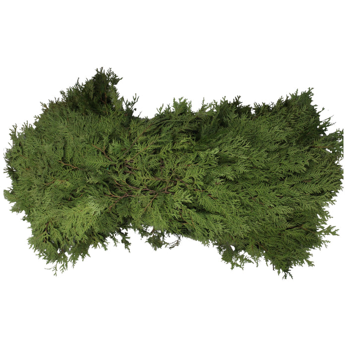 Arbor-Vitae Bale - Northern Greens