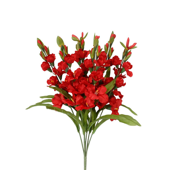 27 in Gladiolus Bush